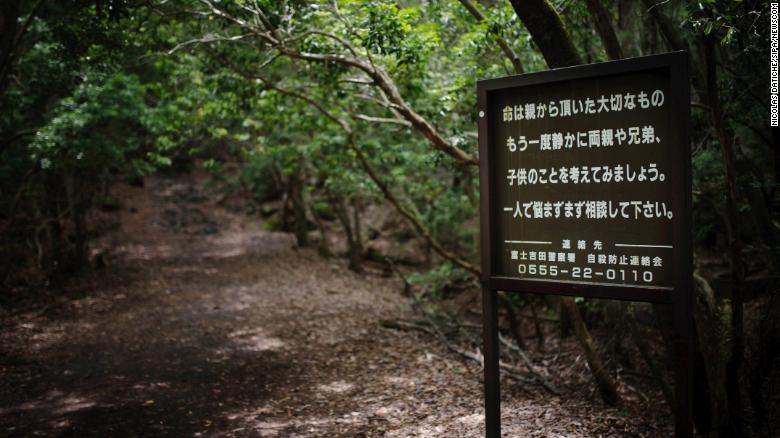 Yuk Wisata Horor di Jepang dan Simak 15 Hal Menakutkan tentang Hutan