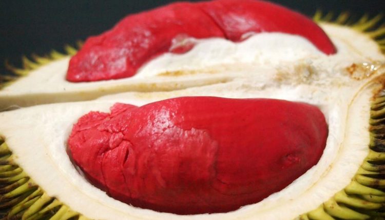 Bukit Kelam Sintang.Foto 7