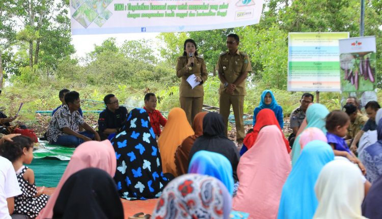 Walikota Singkawang Ajak Petani Kambangkan Hortikultura.Foto 1