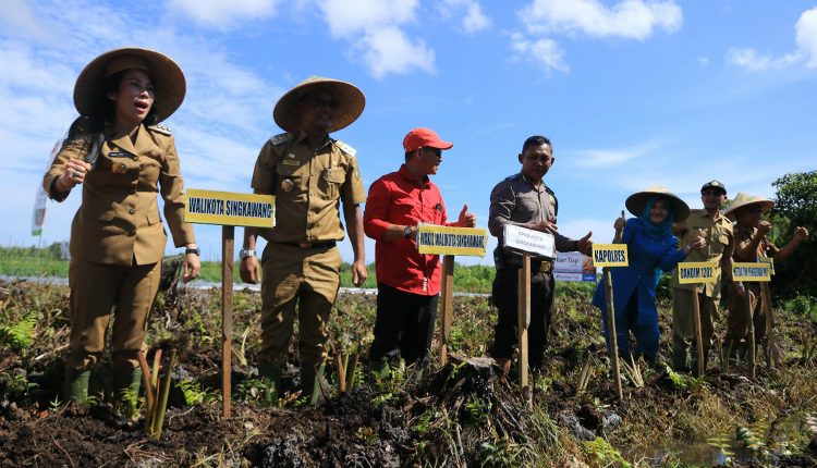 Walikota Singkawang Ajak Petani Kambangkan Hortikultura.Foto 2