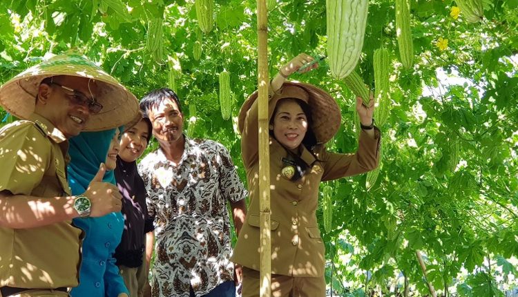 Walikota Singkawang Ajak Petani Kambangkan Hortikultura.Foto 3