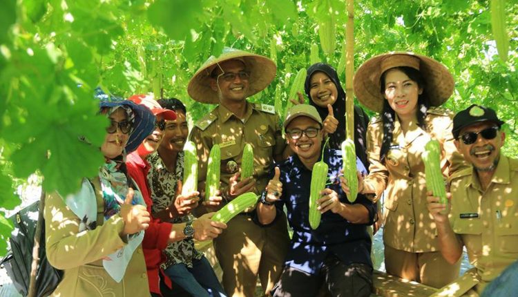 Walikota Singkawang Ajak Petani Kambangkan Hortikultura.Foto 4