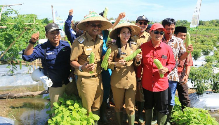 Walikota Singkawang Ajak Petani Kambangkan Hortikultura.Foto 5