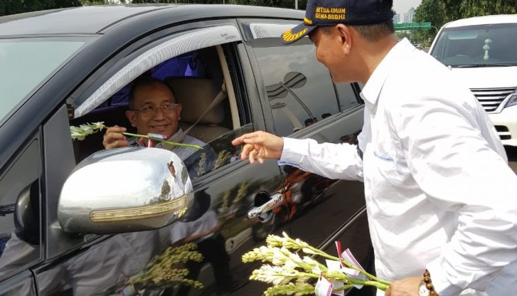 WhatsApp Image 2018-05-19 at 18.28.31