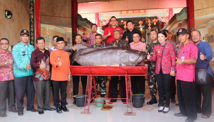 Perayaan HUT Dewa Bumi Raya Pemangkat Berlangsung Spektakuler.Foto 9