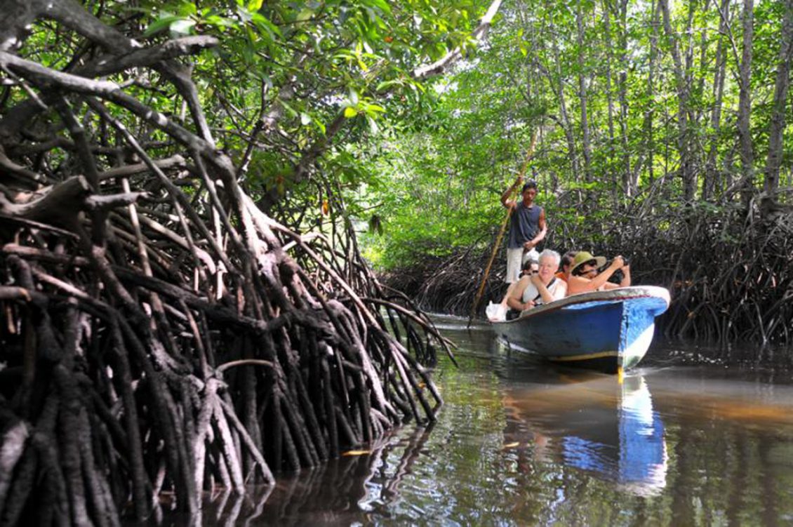 Hutan Mangrove Batu Ampar Kabupaten Kubu Raya Diyakini